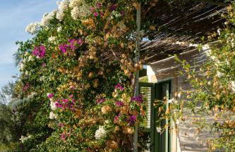 Agriturismo Pietre di Gelo - Foto 70