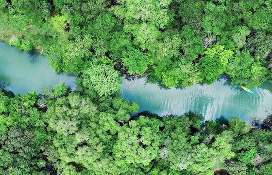 4 Son's Geronimo - Birdhouse Cabin - Foto 68