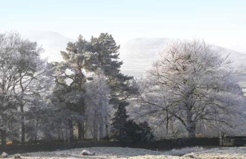 No 5 The Stables - Foto 11