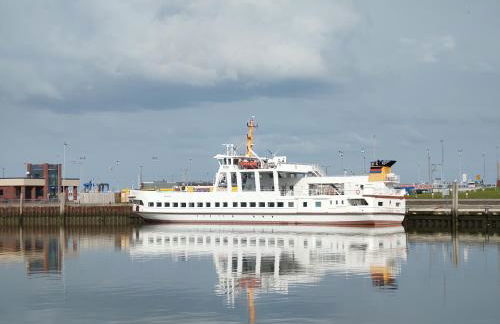 Zaunkönigin - Foto 41