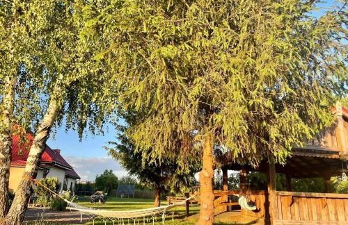 Pod skrzydłami - Foto 26