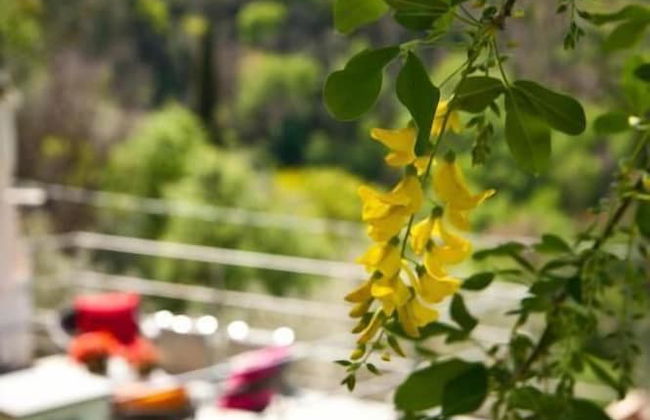 Il Giardino di Fe - Foto 38