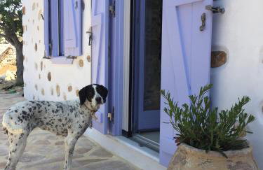 Good Life Greece Eco Villas - Foto 42