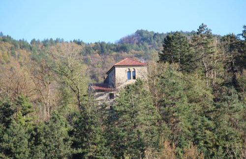 Porcaticcio - Foto 8