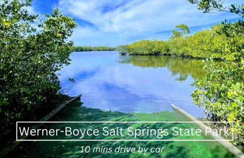 NEW Steps to Downtown - 7 Mins to Beach & Free Parking - Foto 49