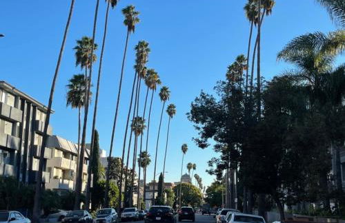 Wonderful LA studio apartment - Foto 14