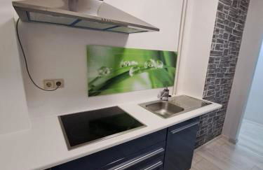 Ferienwohnung mit Tageslichtbad in ländlicher Lage nahe Halle (Saale) - Foto 8