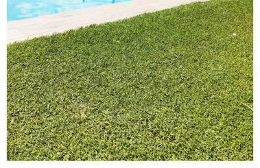 LOS SUEÑOS DE JAVIER - Foto 62