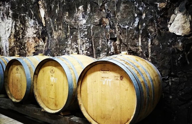 Agriturismo Radovic - Photo 7