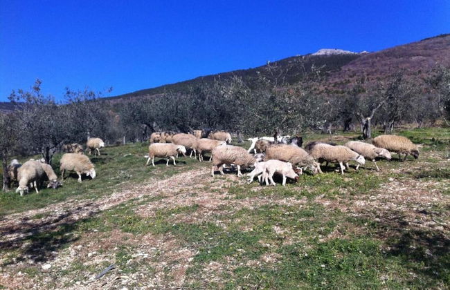 Villa in Cannara With Assisi Views - Foto 35