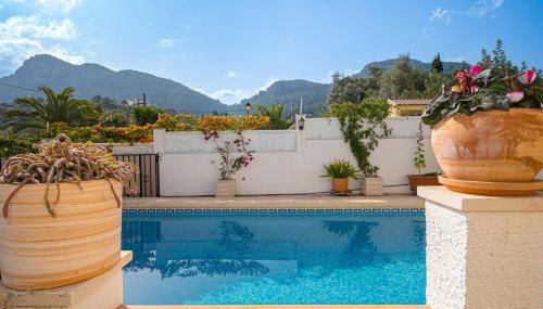 La Mandarina - Foto 4