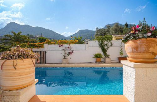 La Mandarina - Foto 4