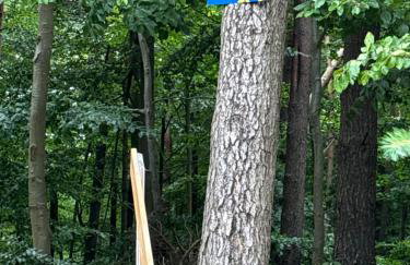 Apartamenty nad morzem Przy klifie 3 Dębina - Foto 34