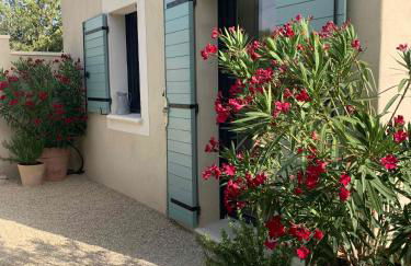 Le Cabanon de Livia avec piscine privée - Foto 38