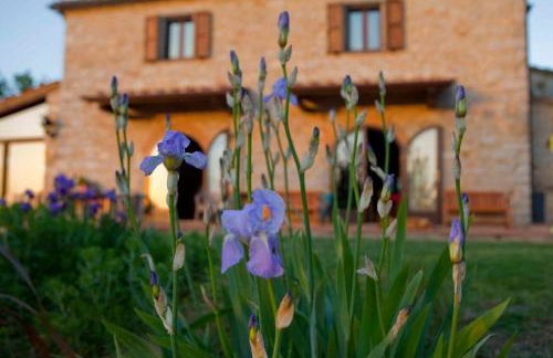 Sasseta Alta - Foto 38