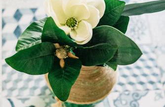 Amalfi Coast Holiday House - Photo 14