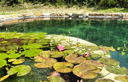 AGRITURISMO TERRAPIA - Foto 29