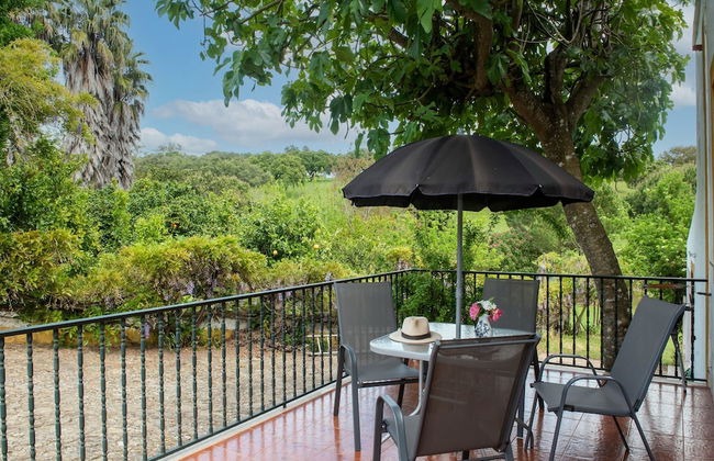 Farmhouse Dreams: Explore and Relax - Foto 8