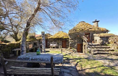 Cardenha das Formiguinhas - Foto 77