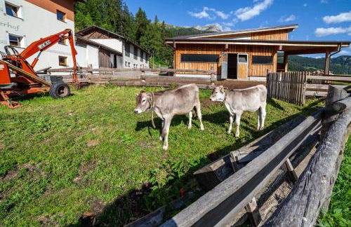 Mühlanderhof Apt Klopairspitze - Foto 25