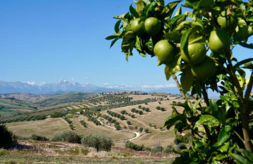 PinetoAlba Country House - Foto 53