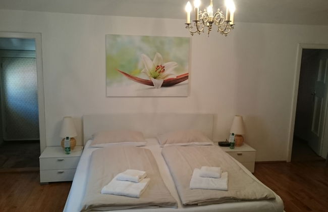 Chalet Johanna- Absolute Active Resort - Photo 9