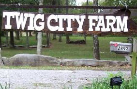 Secluded Watertree Tiny House near Old Hickory Lake – Private Deck, Trails & Breakfast - Foto 69