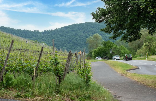 Cheerful Holiday Home in Kinheim With Mountain Views - Photo 44
