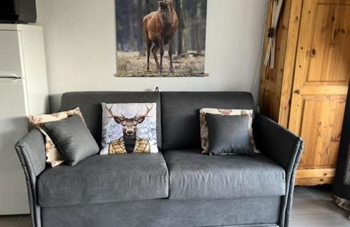 LE GL'ASSIE - Foto 8