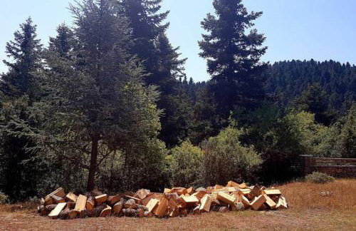 Elati Hills - Photo 60