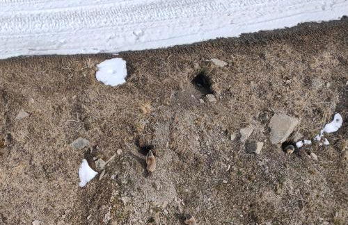 Risoul Appartement Rénové Piscine Balcons de Sirius - Foto 42