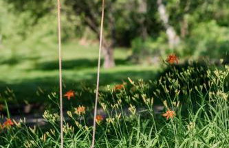 Berkshire Vacation Rentals: The Brookman: Renovated 6000 SF Estate On 40 Acres - Foto 47