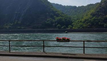 Gästehaus Rheinburgenblick - Foto 5