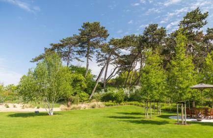 Villa Schmidt Apartments - Strandhaus direkt am Meer mit Sauna, Sport und Dünengarten - Komfort - Foto 14
