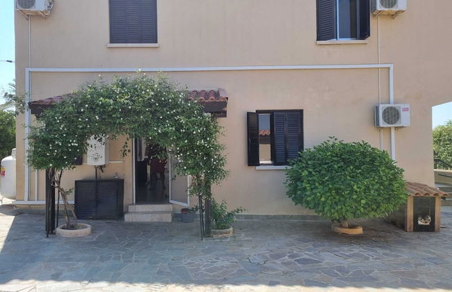 Impeccable 3-bed Villa in Tala - Paphos - Photo 35