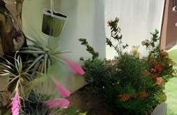 Casa de Temporada Guriri com Piscina - Cod 17 - Foto 33