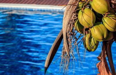 Chalé com piscina privada vista mar-Zumbi-RN - Foto 10