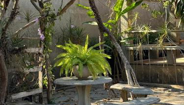 Alvorecer do Pepê - Foto 2, Garden view