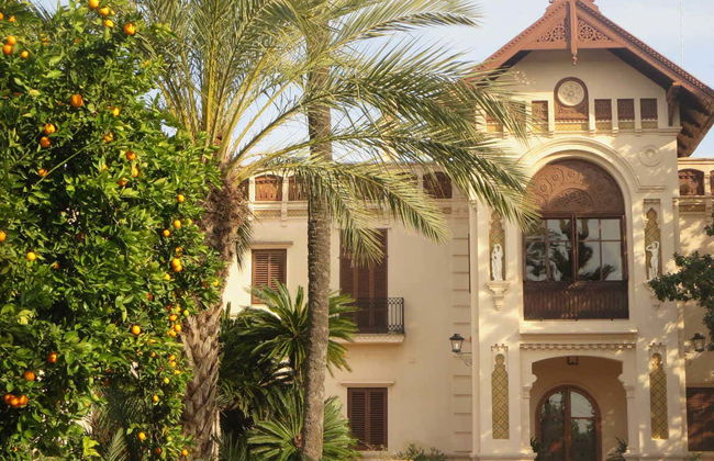 Tour di un aranceto a Carcaixent - Foto 1