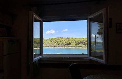 Apartments Veli Rat - Photo 12