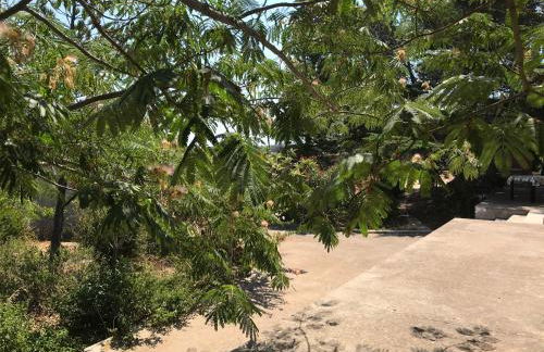 Cosy Apartment in a Relaxing Area Close to Lecce - Foto 33