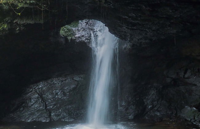 Tour pela Reserva Natural Cueva del Esplendor - Foto 1