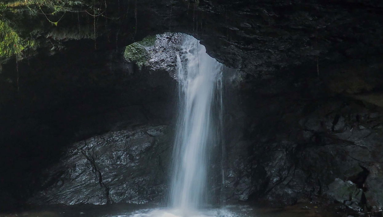 Tour pela Reserva Natural Cueva del Esplendor
