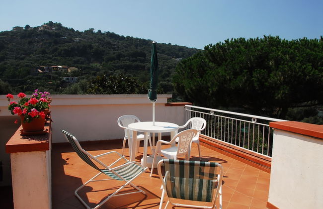 Old Farmhouse Set In A Citrus Grove - Photo 5