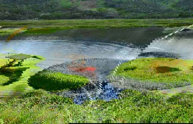 Tour del café por Villa Rica - Foto 2