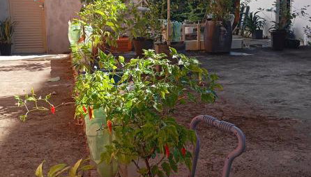 Casa B Central Simples e confortável - Foto 4