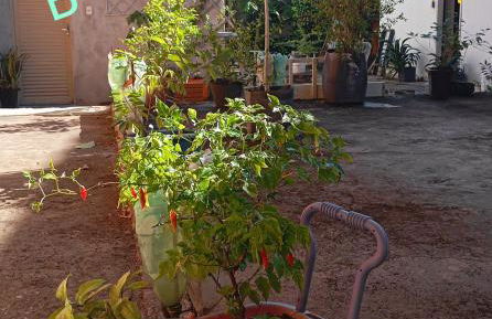 Apto Casa A Simples, Central e Aconchegante - Photo 9