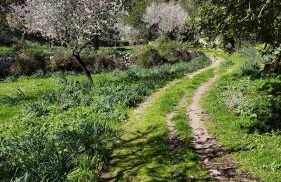 Agroturismo Finca Can Sec - Foto 52