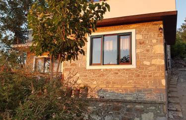 Villa Petri - Foto 27