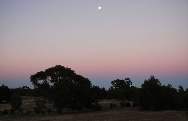 Boroka Downs - Photo 28